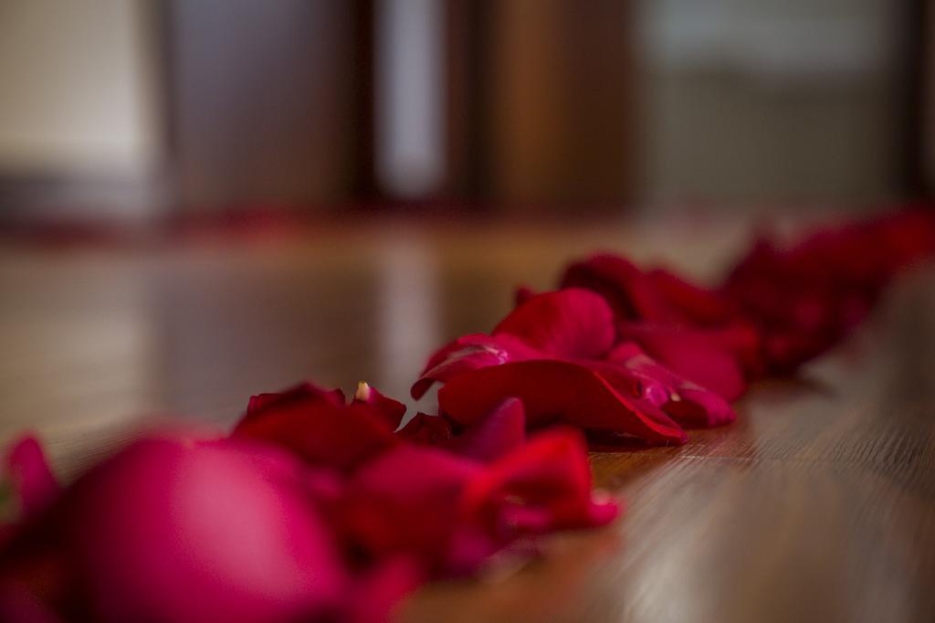 בוגוטה Hotel Lugano Suites מראה חיצוני תמונה